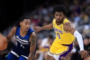 minnesota timberwolves vs lakers match player stats